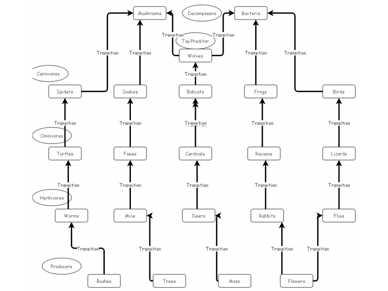 Perfect Community Food Web Insight Maker