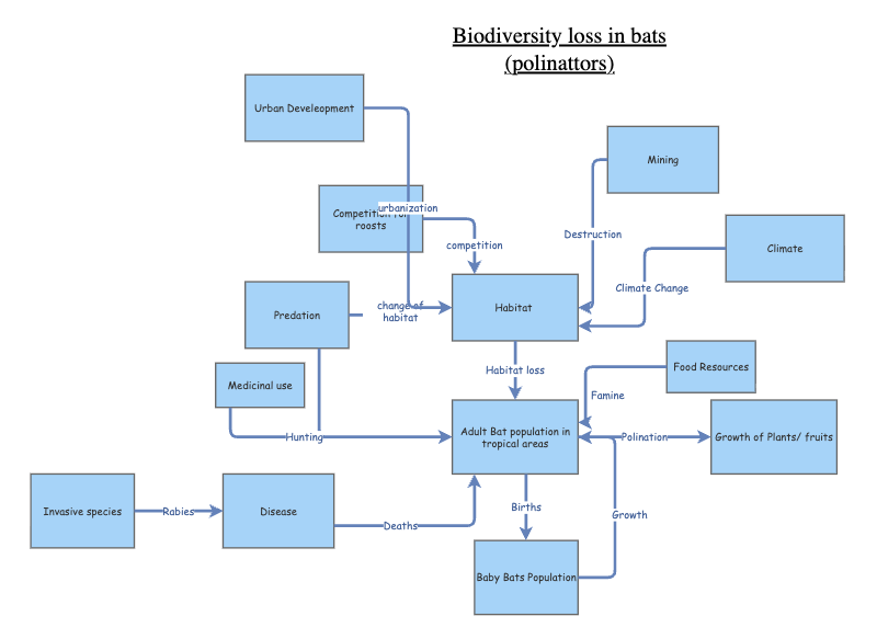 Biodiversity loss in bats (pollinators) | Insight Maker