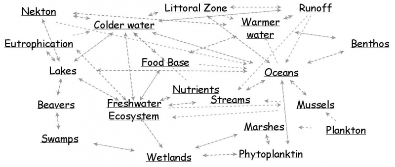 Concept Map | Insight Maker