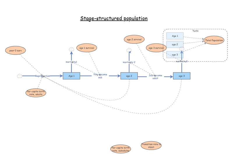 Clone of Stage-structured population | Insight Maker
