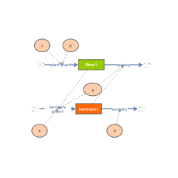 Introduction tutorial | Insight Maker