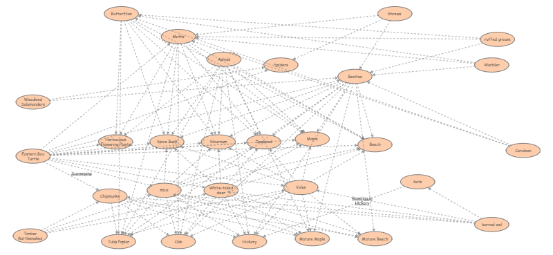 Eastern Forest Food Web Insight Maker 8044