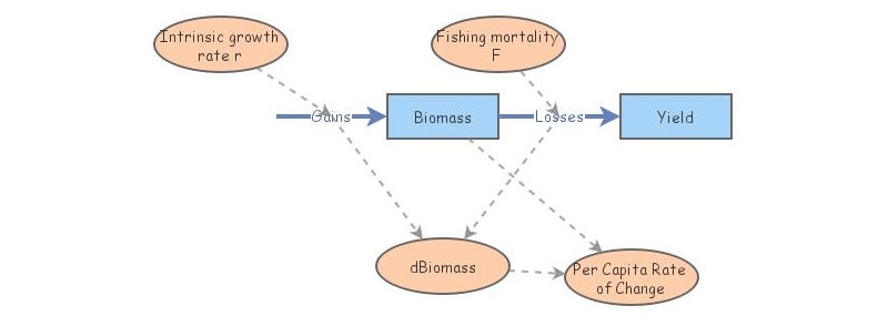 WFA4313 Exponential Model | Insight Maker