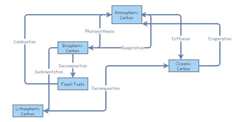 Carbon Cycle | Insight Maker