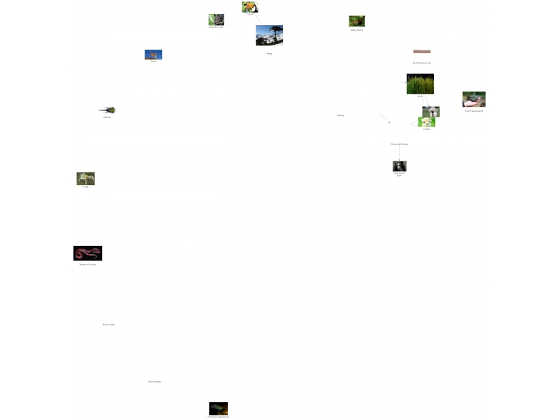 Biome project | Insight Maker