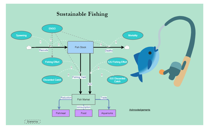 Clone of Clone of Stage 4 - Sustainable Fishing Model | Insight Maker