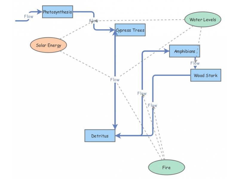 practice swamp flow | Insight Maker