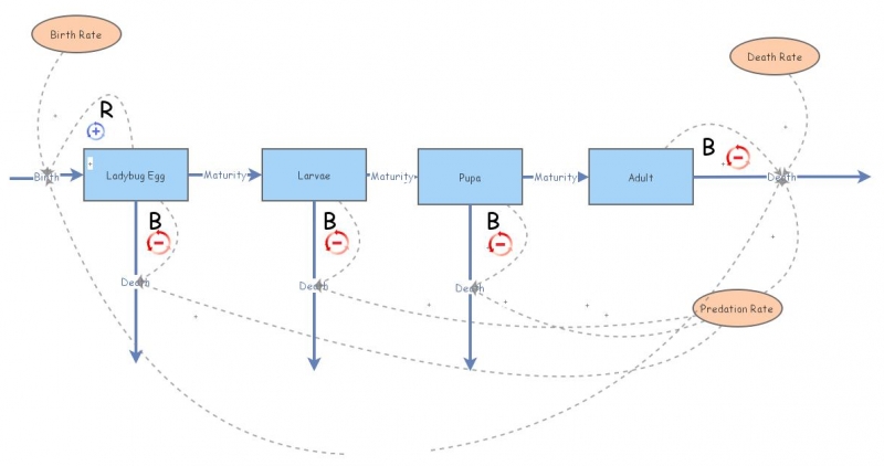 Systems Test 1 Question 2 Model | Insight Maker