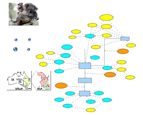 Koala Population in SE Queensland | Insight Maker