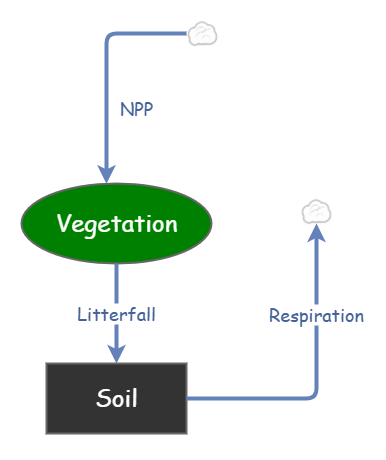 Carbon loss | Insight Maker