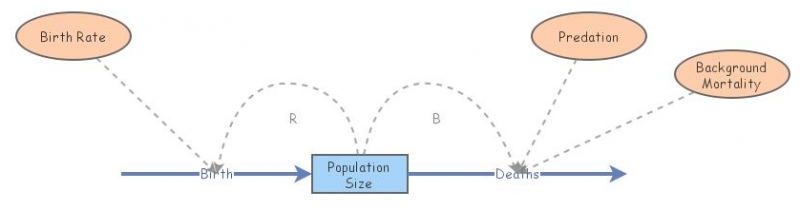 Exponential Population Growth Insight Maker Exponential Population Growth Insight Maker