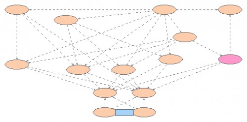 Arizona Food Web | Insight Maker