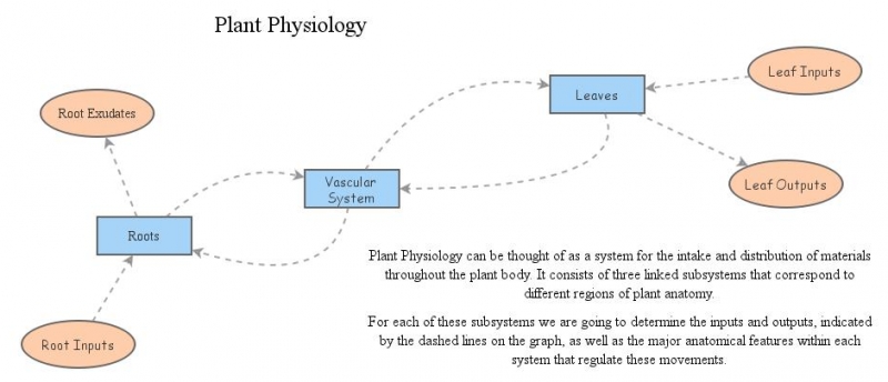 Plant Physio System | Insight Maker
