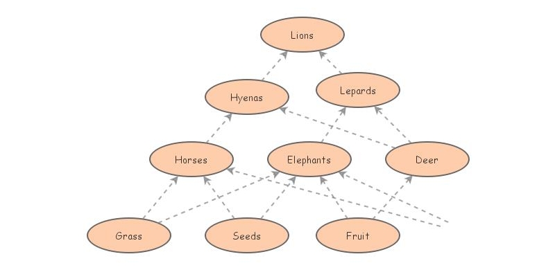 Sumatran Elephant Food Web Insight Maker 