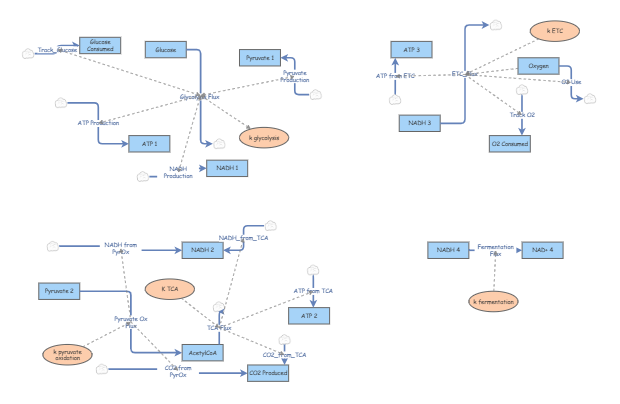 System Modeling 3 | Insight Maker