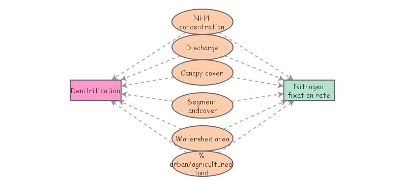 Cross-scale nitrogen cycle | Insight Maker