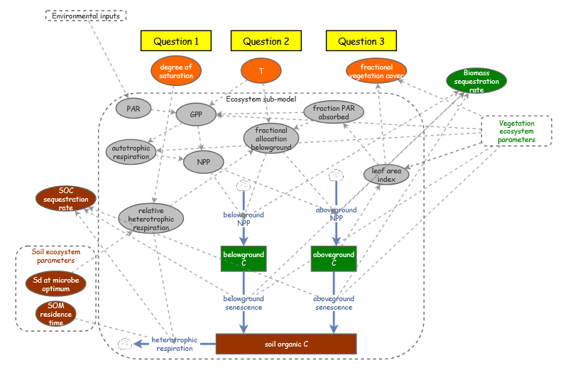 Clone of Simple Terrestrial Ecosystem Model (STEM) | Insight Maker