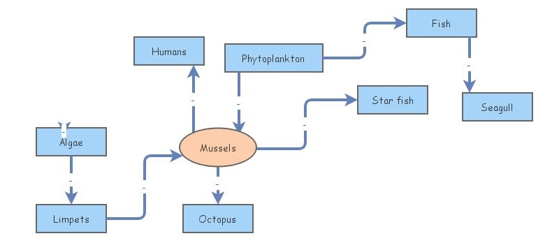 Food web | Insight Maker