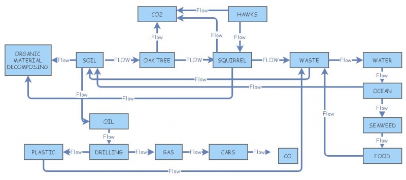 FIRST CARBON FLOW MODEL | Insight Maker