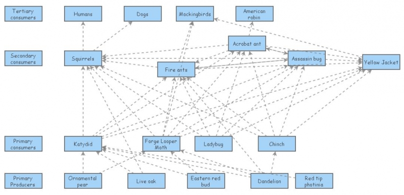 Ecology Plot Project Food Web | Insight Maker