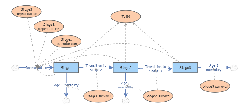 Insight Matrix 4.3 Stage-structured Projection Matrix | Insight Maker